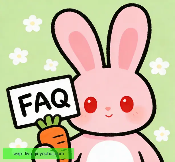 常见问题